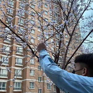 欧美女优内射喷水
